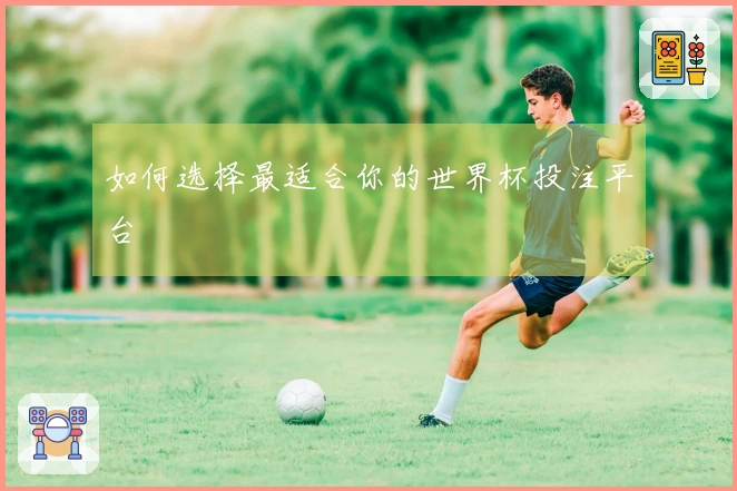 如何选择最适合你的世界杯投注平台