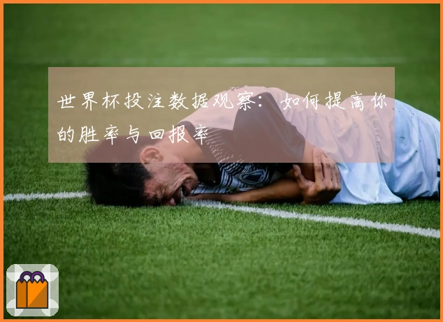 世界杯投注数据观察：如何提高你的胜率与回报率
