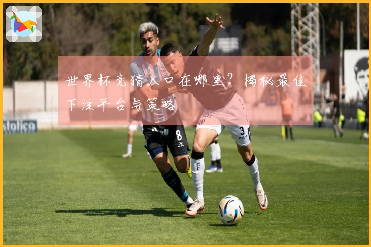 世界杯竞猜入口在哪里？揭秘最佳下注平台与策略