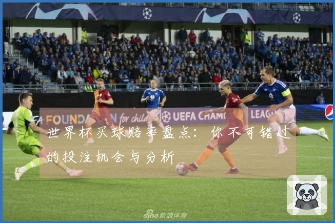 世界杯买球赔率盘点：你不可错过的投注机会与分析