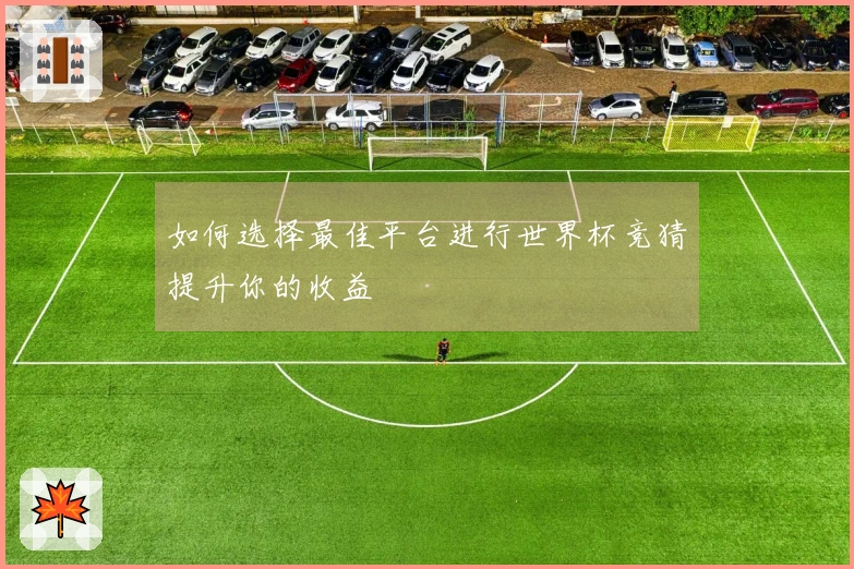 如何选择最佳平台进行世界杯竞猜提升你的收益