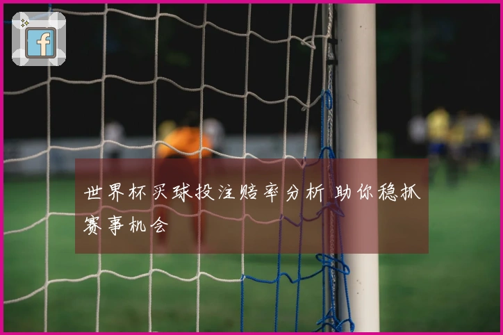 世界杯买球投注赔率分析 助你稳抓赛事机会