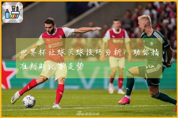 世界杯让球买球技巧分析，助你精准判断比赛走势