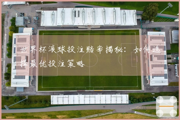 世界杯滚球投注赔率揭秘：如何选择最优投注策略