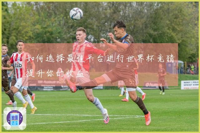 如何选择最佳平台进行世界杯竞猜提升你的收益